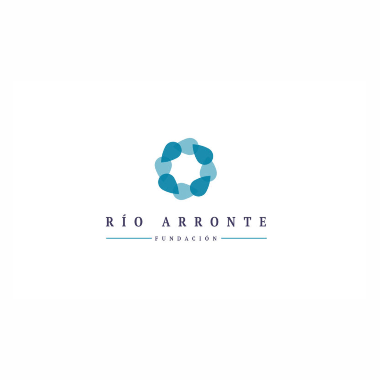 Logotipo oficial de la Fundación Río Arronte